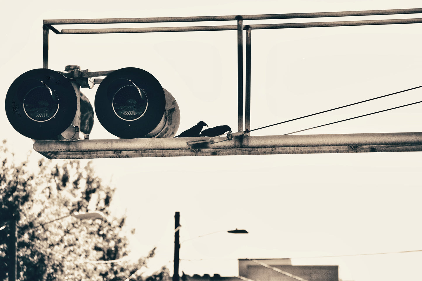 "Birds-Eye-View" Artistic Home Decor