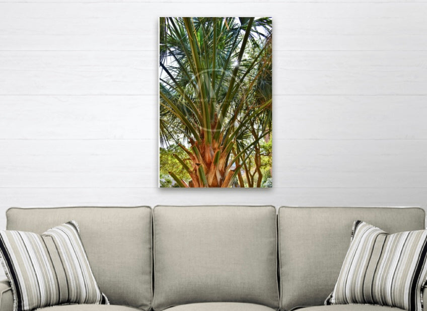 "Palm Beam" Artistic Home Decor