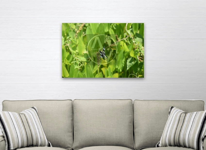 "Stand-Out" Artistic Home Decor