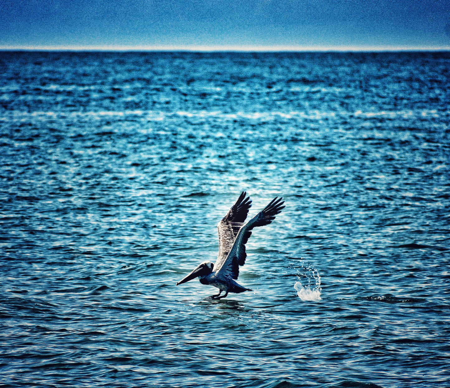 "Clear for Takeoff" Nature and Ocean Home Decor