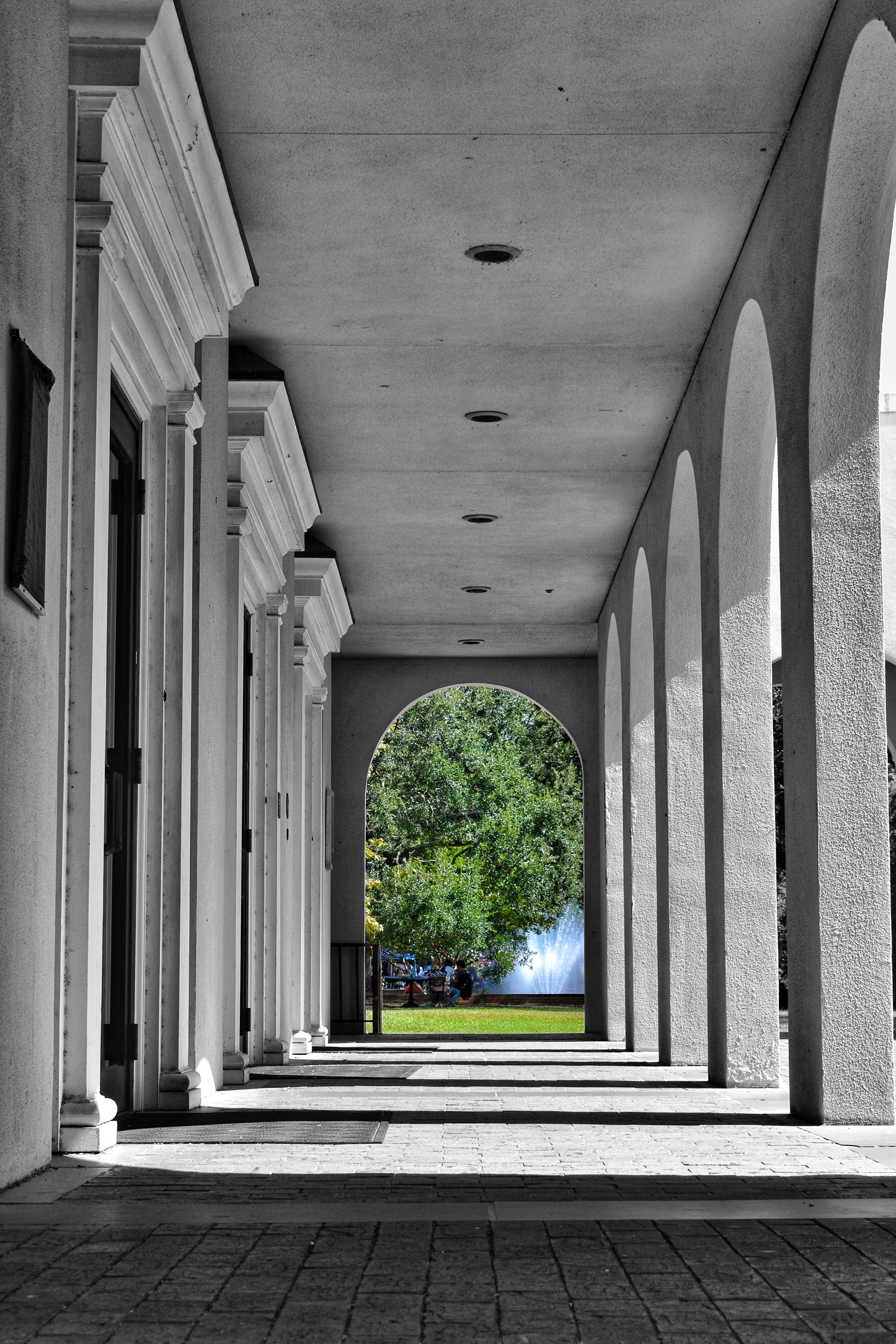 "Down the Long Tunnel" Architecture Art & Home Decor