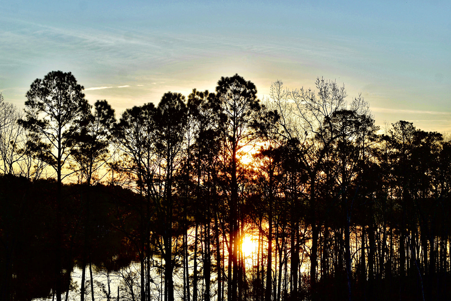 "Hope Springs Eternal" Artistic Home Decor