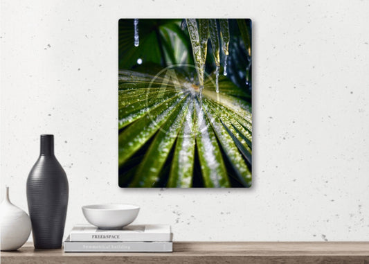 "Elsa's Touch" Artistic Home Decor
