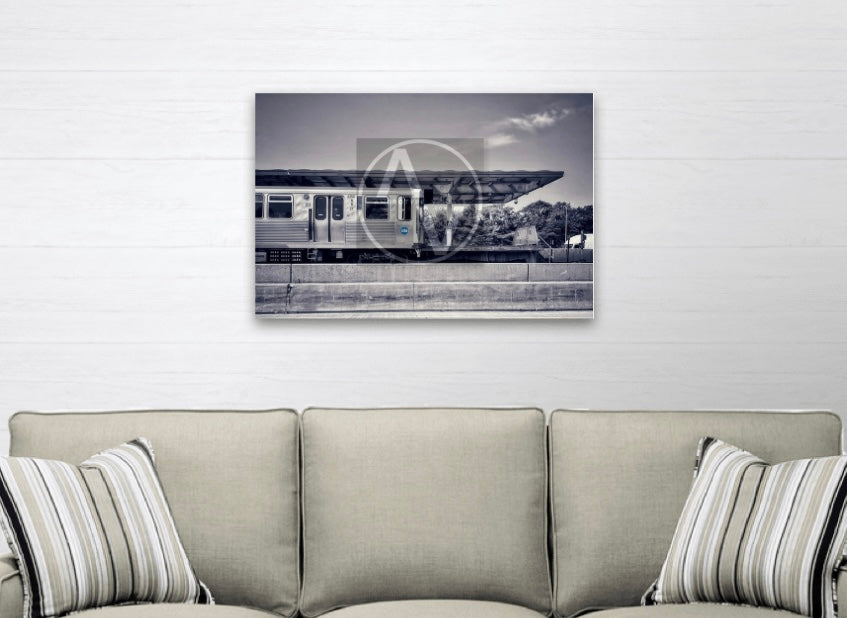 "Spot-On" Artistic Home Decor