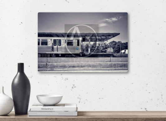 "Spot-On" Artistic Home Decor