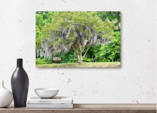 "Serenity Now" Artistic Home Decor