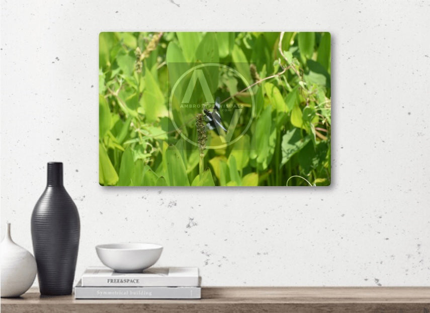 "Stand-Out" Artistic Home Decor