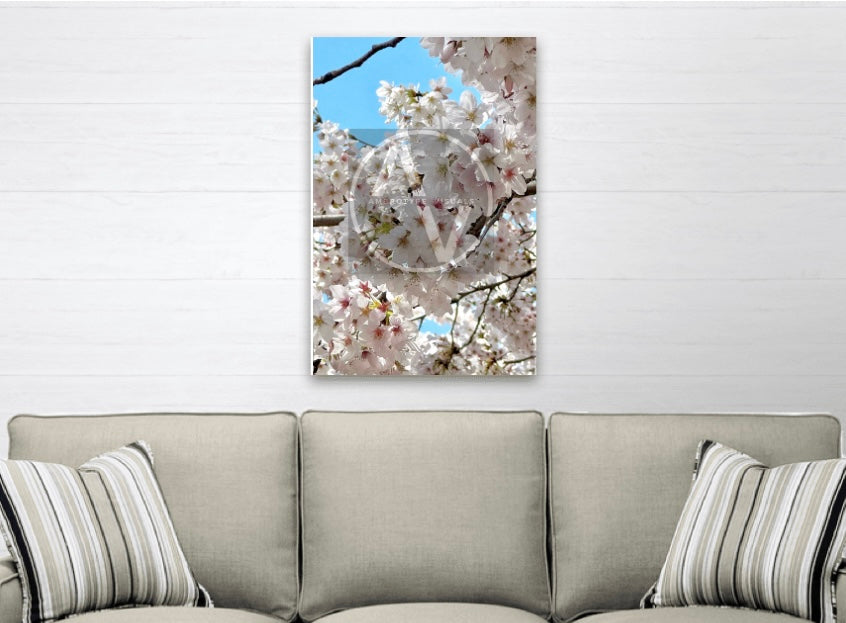 "Cherry Picking" Artistic Home Decor