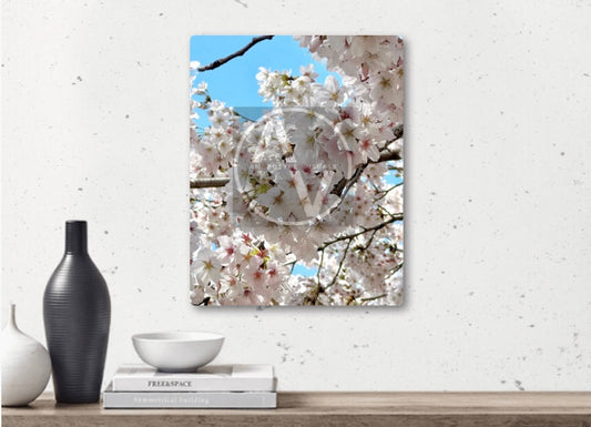 "Cherry Picking" Artistic Home Decor
