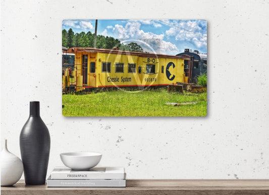 "Cat-boose" Artistic Home Decor