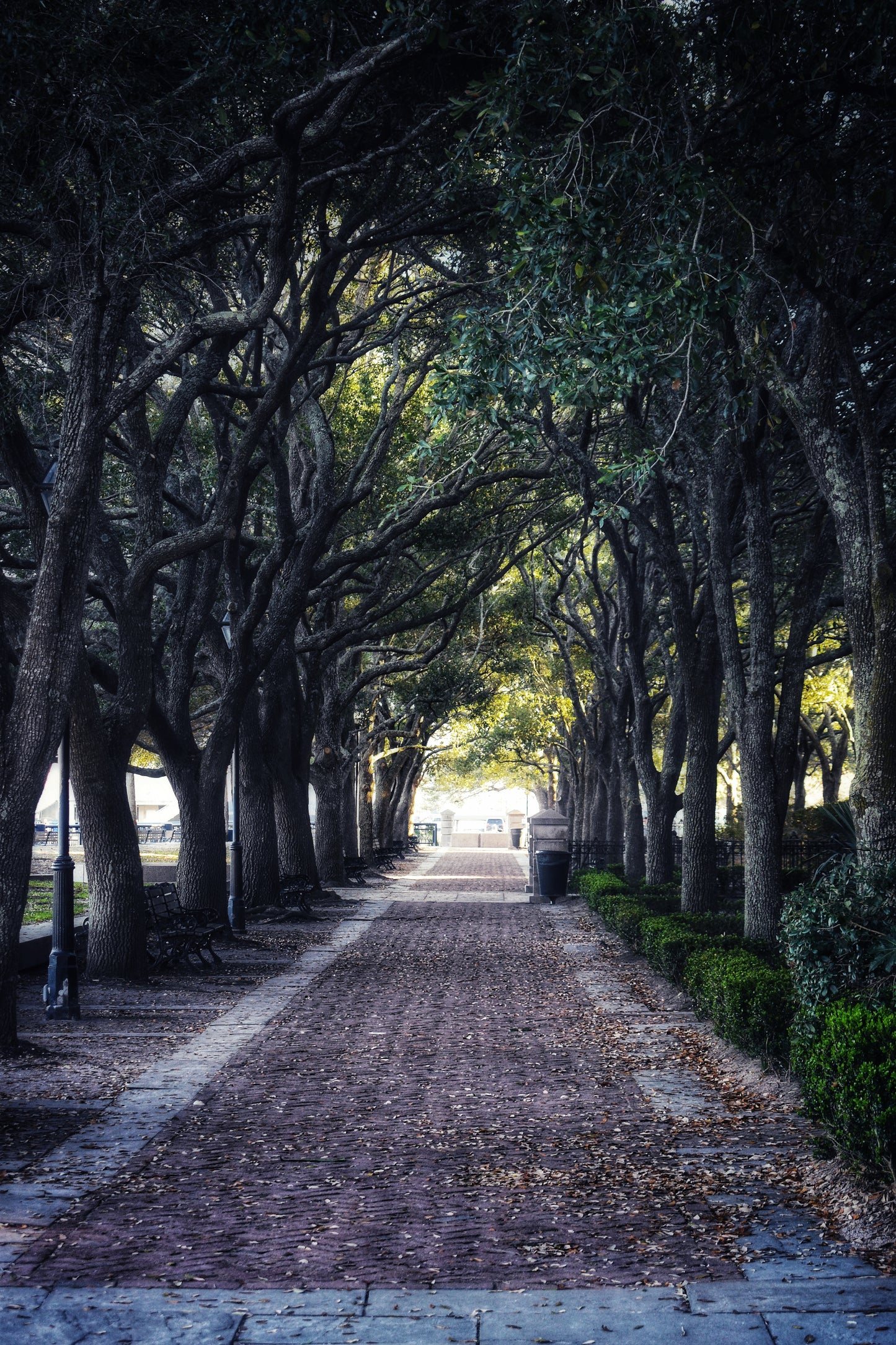 "Trunnel" Artistic Home Decor